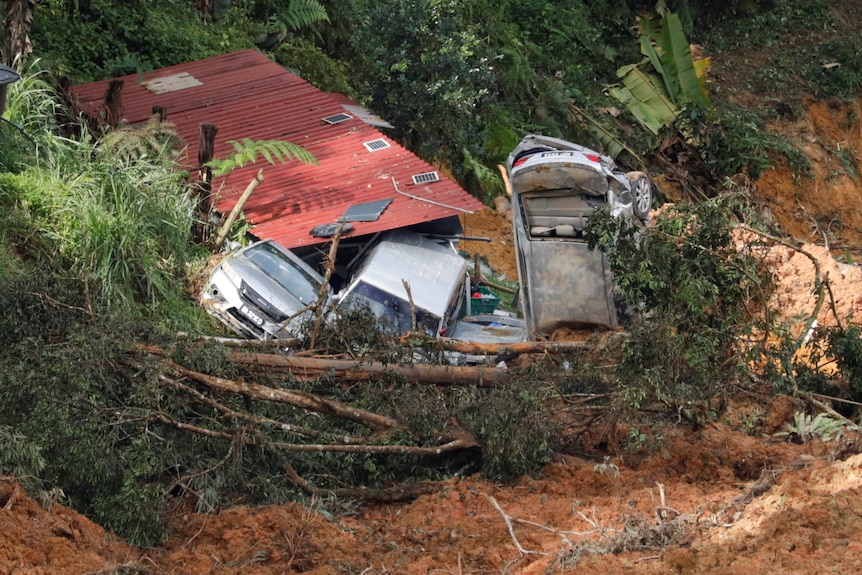 O serie de mașini și alte resturi care au înconjurat copacii căzuți au fost avariate în urma alunecării de teren. 