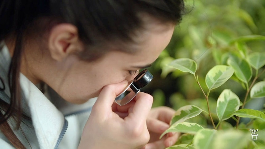 A woman examining a leaf with a magnifying glass.