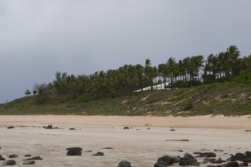 Palm trees blowing at Cable Beach in Broome, 2021.