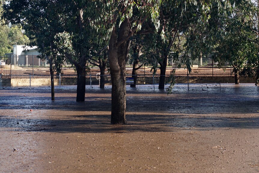 A park in a suburban area covered in mud