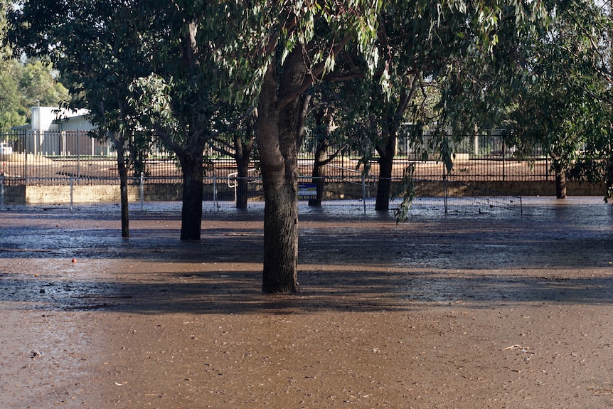A park in a suburban area covered in mud