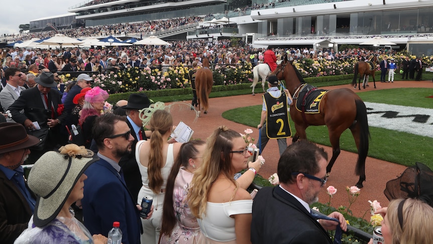 Hombres y mujeres con trajes y vestidos miran por encima de la barandilla a los caballos en el patio de montaje antes de una carrera el día de la Copa de Melbourne.