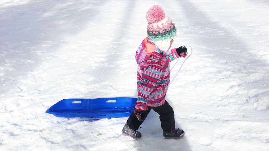 A girl drags her toboggan through the snow at Corin Forest.