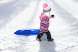 A girl drags her toboggan through the snow at Corin Forest.