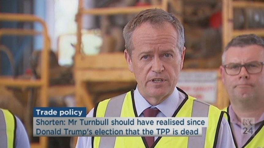 Trying to save the TPP 'the height of delusional absurdity': Shorten