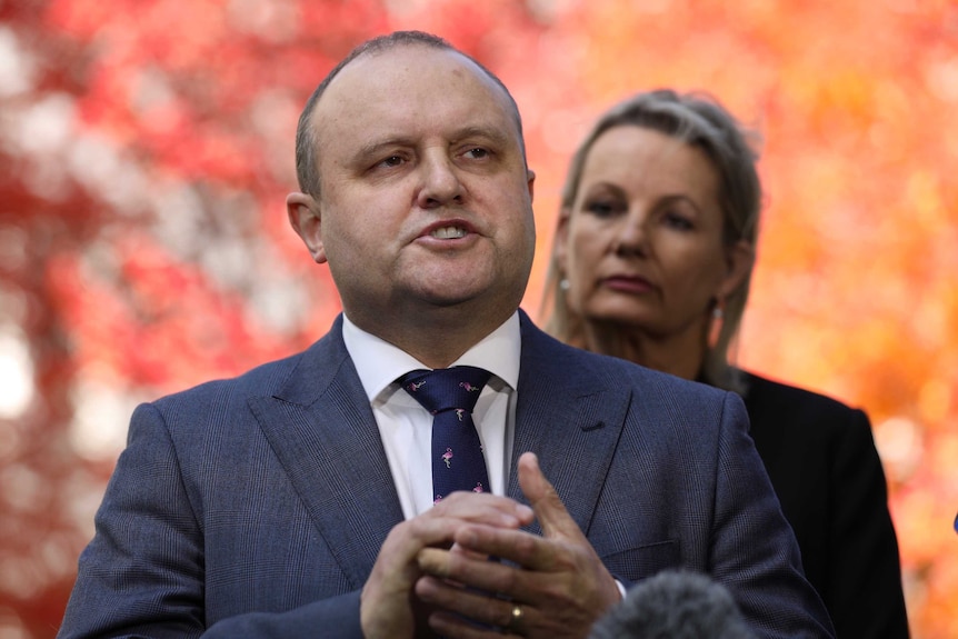 MP Jason Wood speaks to the media in Parliament House, with Sussan Ley in the background