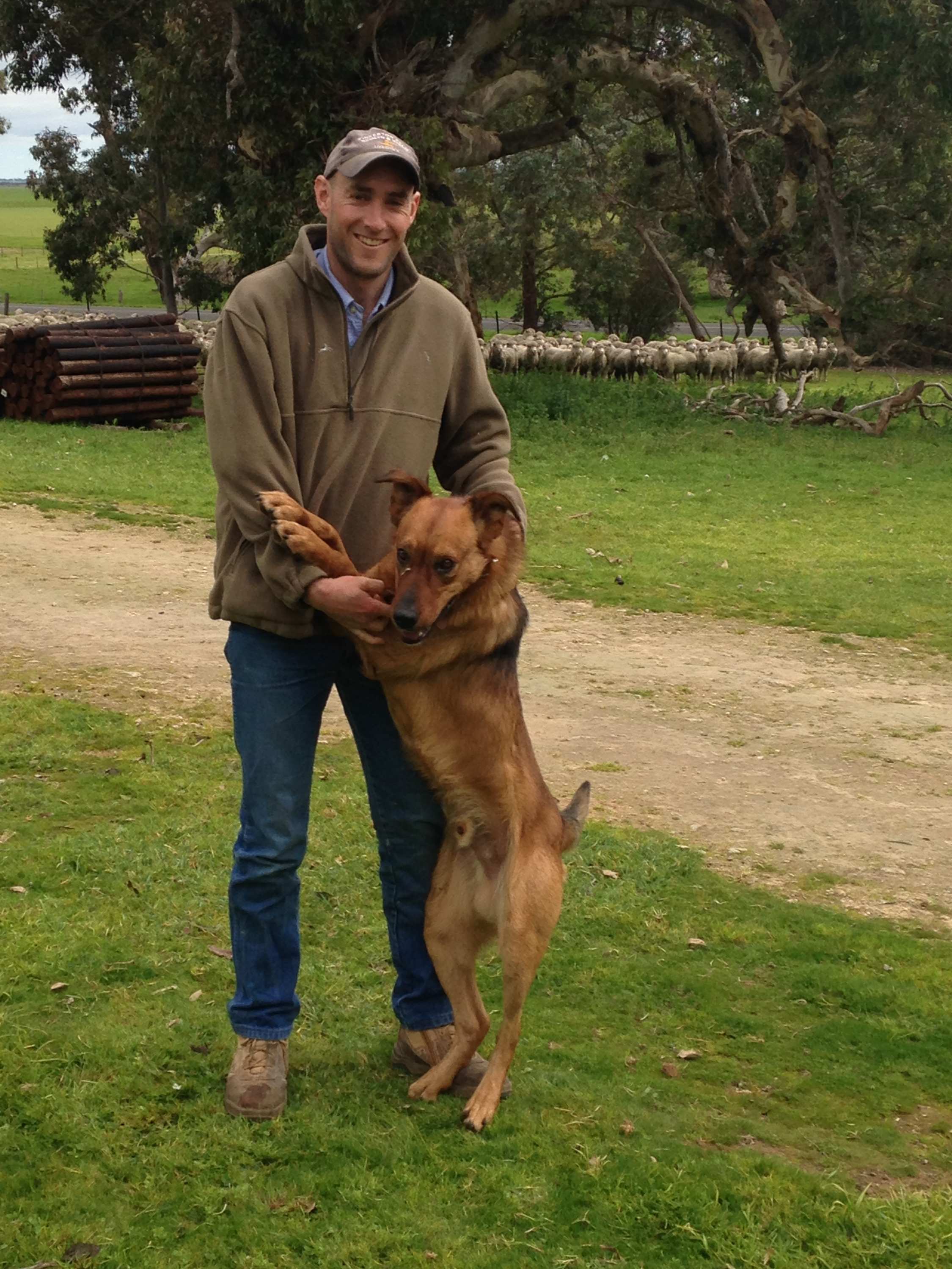 The science, politics and passion of farming in South Australia - ABC News