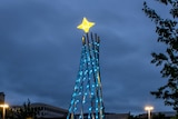 New Hobart Christmas tree