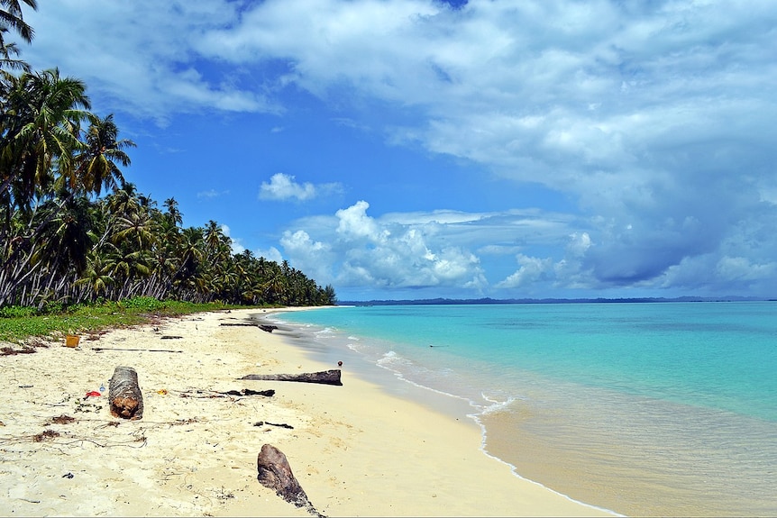 A sandy beach with blue water and palm trees.