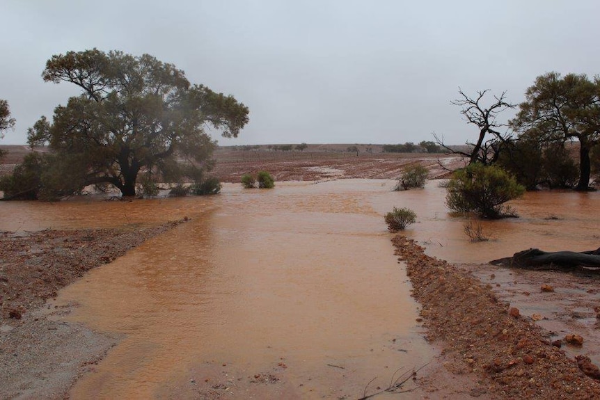 Flooding rains