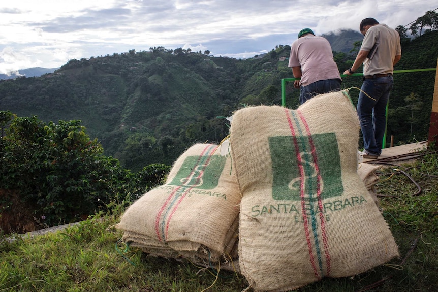 Coffee bags on a farm in Colombia.