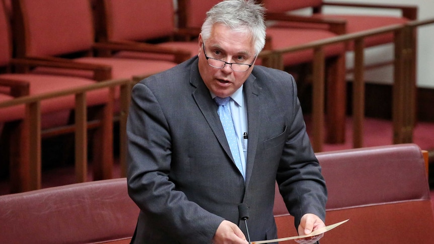 Rex Patrick speaks in the Senate.