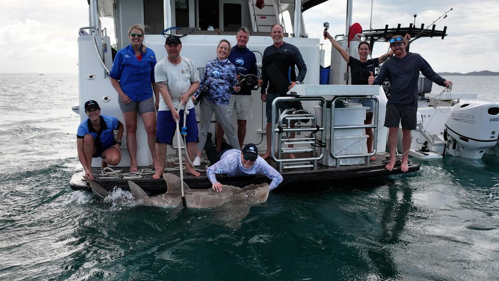 Foto de grupo de la tripulación en la popa del barco con un tiburón.
