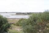 Water returns to Dunns Lagoon