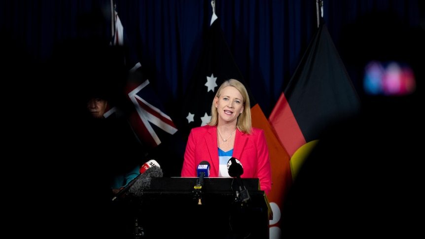 Acting Chief Minister Nicole Manison stands at a podium at a press conference. 