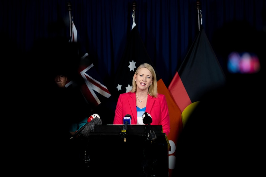 Acting Chief Minister Nicole Manison stands at a podium at a press conference. 