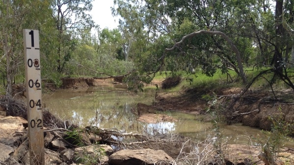 Creeks that should be running are completely dry in far north Queensland