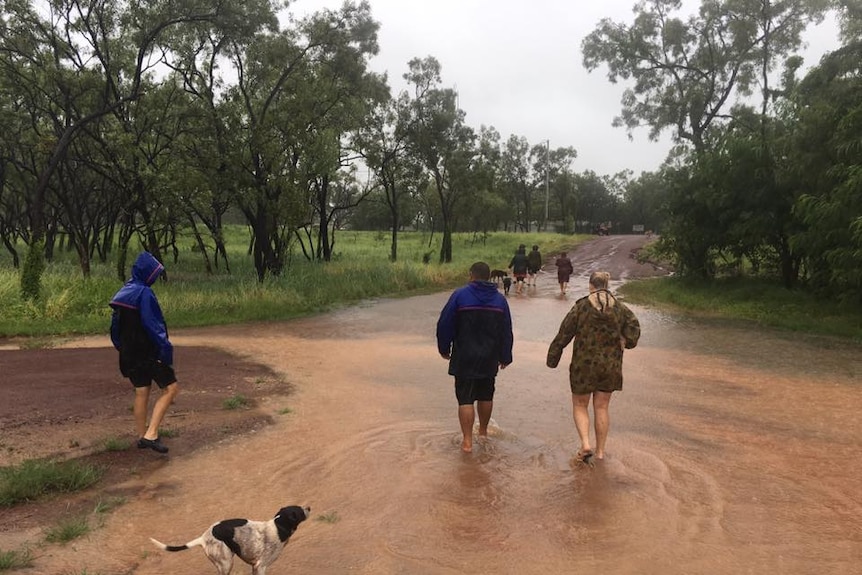 people and a dog walking through floodwaters.