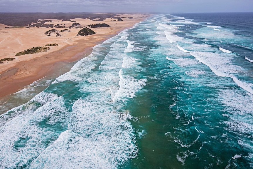 Tarkine track route.