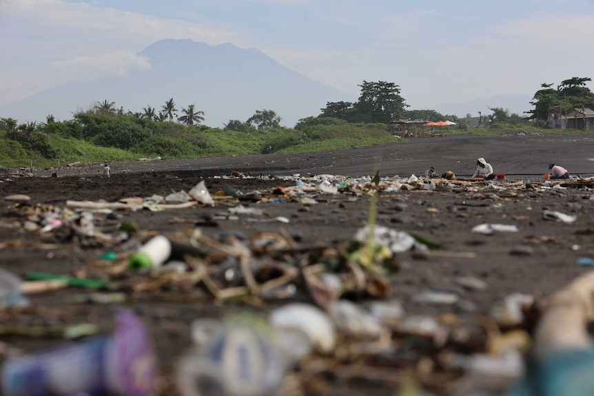 A beach clean-up in Bali.