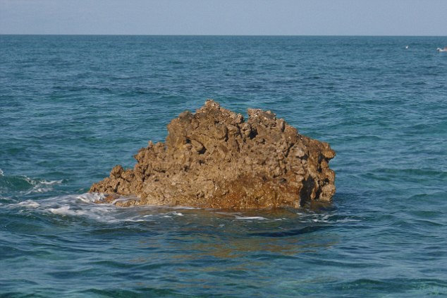 Tiny rocky outcrop on the Scott and Seringapatam Reefs that sit atop a massive gas field.