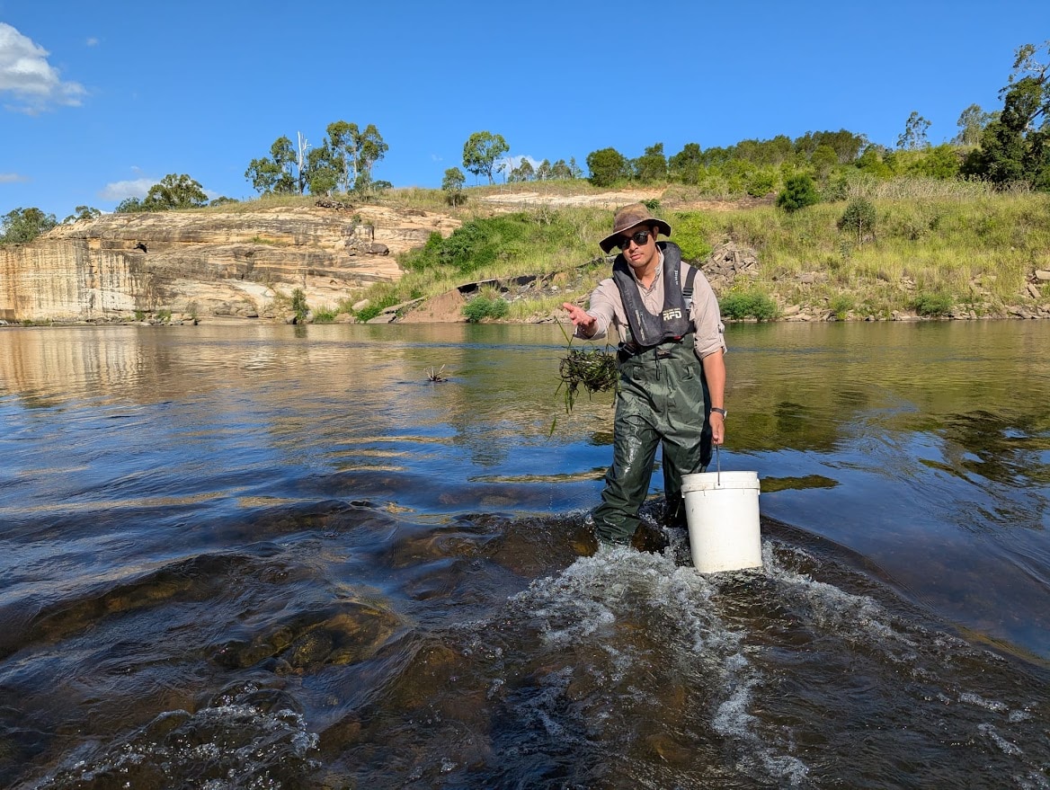 Un hombre con botas de agua arroja plantas al agua.