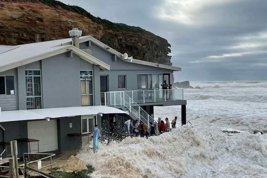 people amid the water as the surf swells up