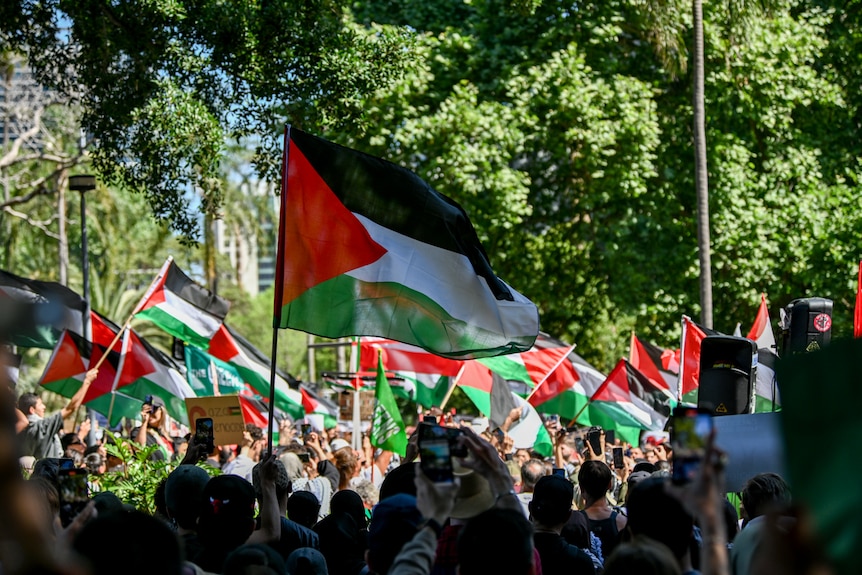 Pro-Palestinian protesters are seen during a rally in Hyde Park Sydney. Palestinian flag in centre of frame