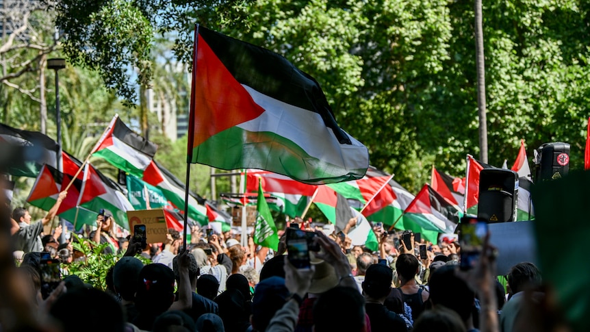 Pro-Palestinian protesters are seen during a rally in Hyde Park Sydney. Palestinian flag in centre of frame