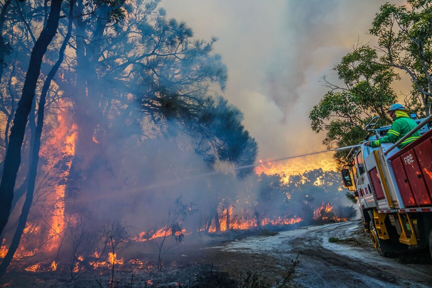 A firefighter sprays a hose on flames in the bush