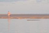 Crocodile stalking human prey in Darwin