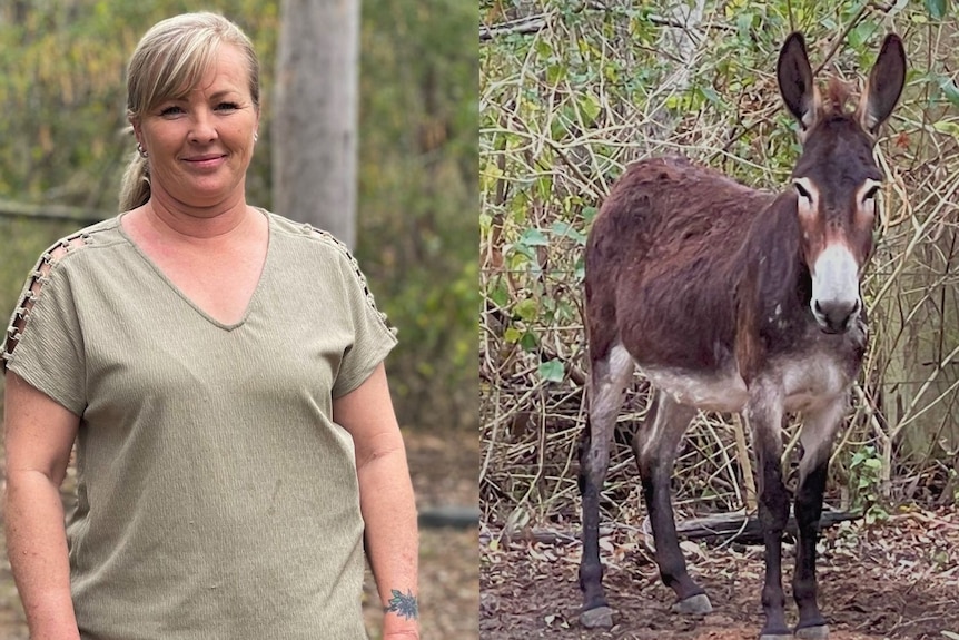 A composite image of a woman wearing a green top with blonde hair and a brown shaggy donkey in bushland