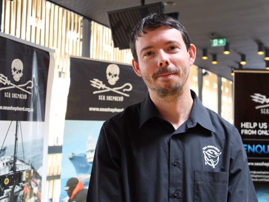 Chairman of Sea Shepherd Australia and Captain of the vessel 'Bob Barker' Peter Hammarstedt has vowed to intercept the harpoons.