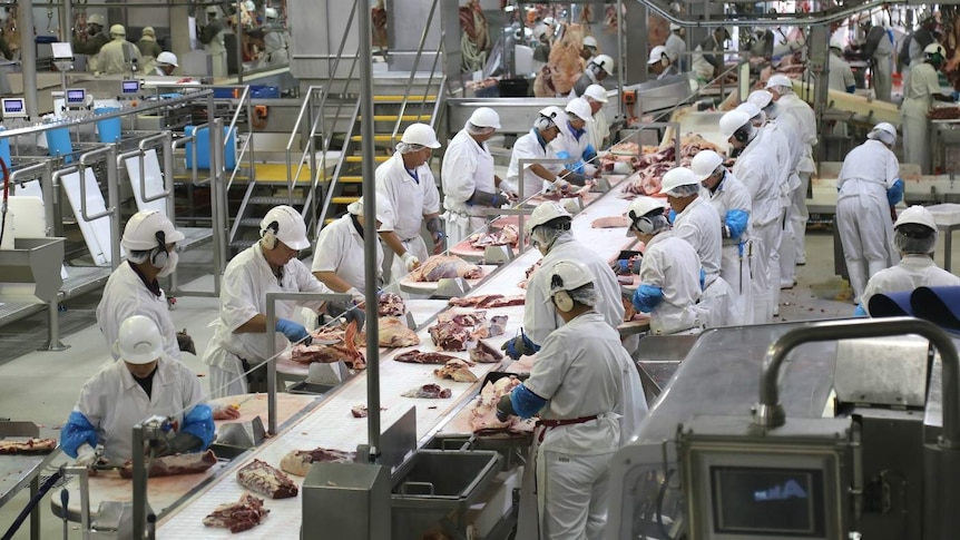 Workers cut meat at Australian Country Choice meatworks.