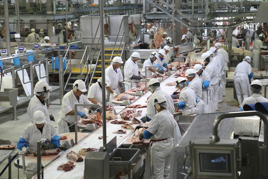 Personas que trabajan en una planta procesadora de carne.