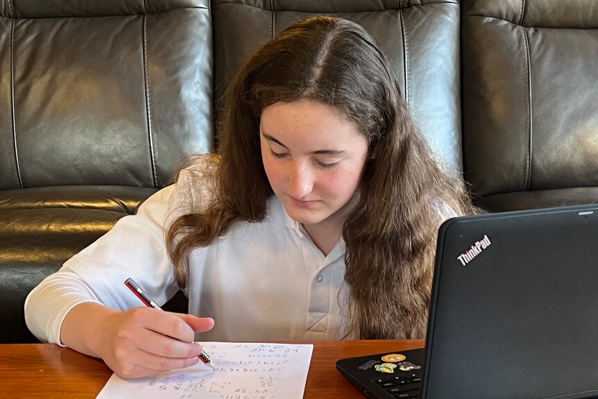 A teenage girl with long dark hair sits at a table with a pen and laptop doing homework.
