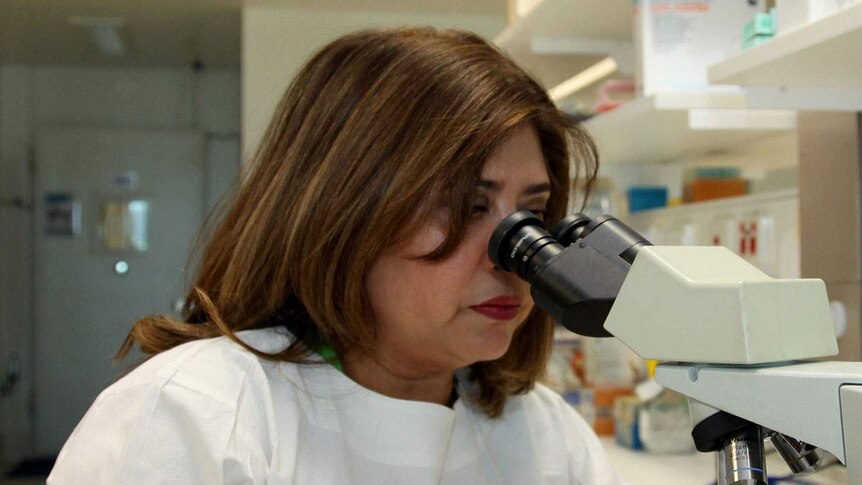 Director of QIMR's molecular immunology laboratory Dr Michelle Wykes