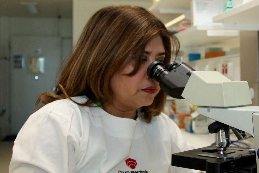 Director of QIMR's molecular immunology laboratory Dr Michelle Wykes