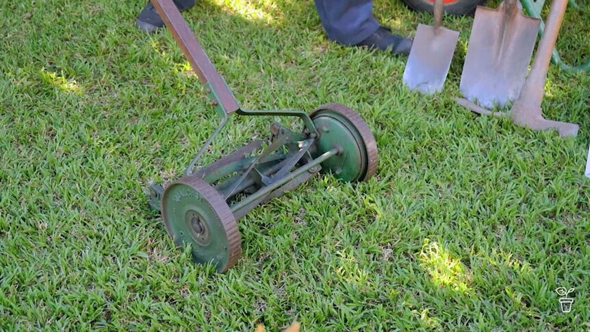 Vintage push hand reel mower on a lawn with gardening tools in the background.