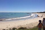 People swimming at Robe beach