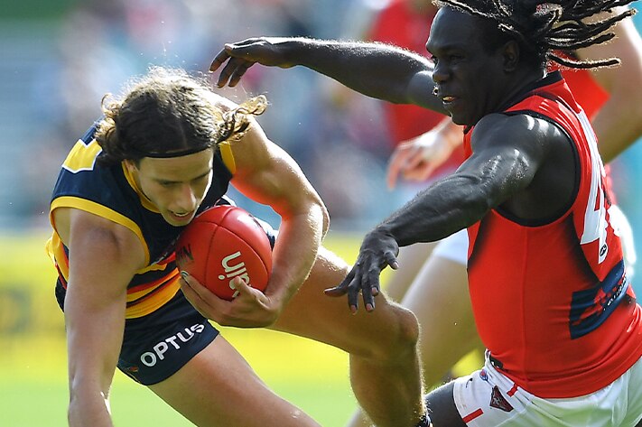 Adelaide youngster Will Hamill fights for the ball against Essendon's Anthony McDonald-Tipungwuti.