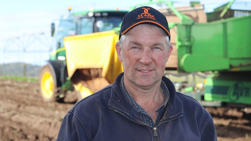 Rain decimates Tasmanian potato crop as processors fear European spuds ...