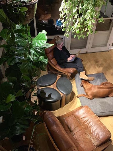 A woman sits inside with a laptop, dog at feet, plants hanging overhead.