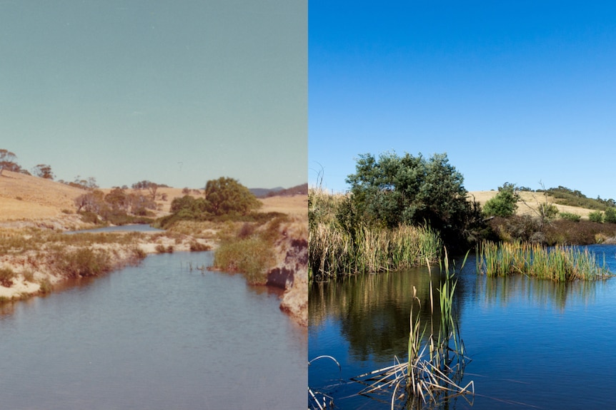 Before and After: Mulloon Creek in 1977 and 2015.