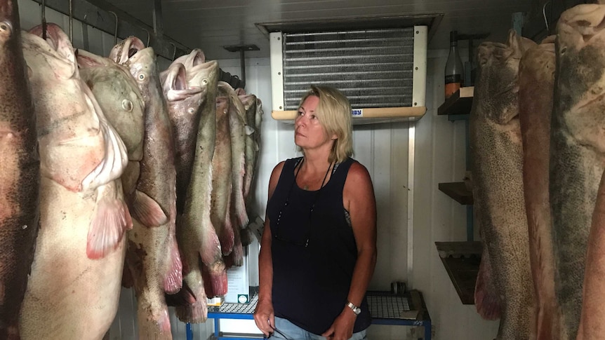 A woman looks at large dead Murray cod hanging from hooks in a cool room.