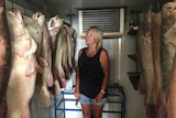 A woman looks at large dead Murray cod hanging from hooks in a cool room.