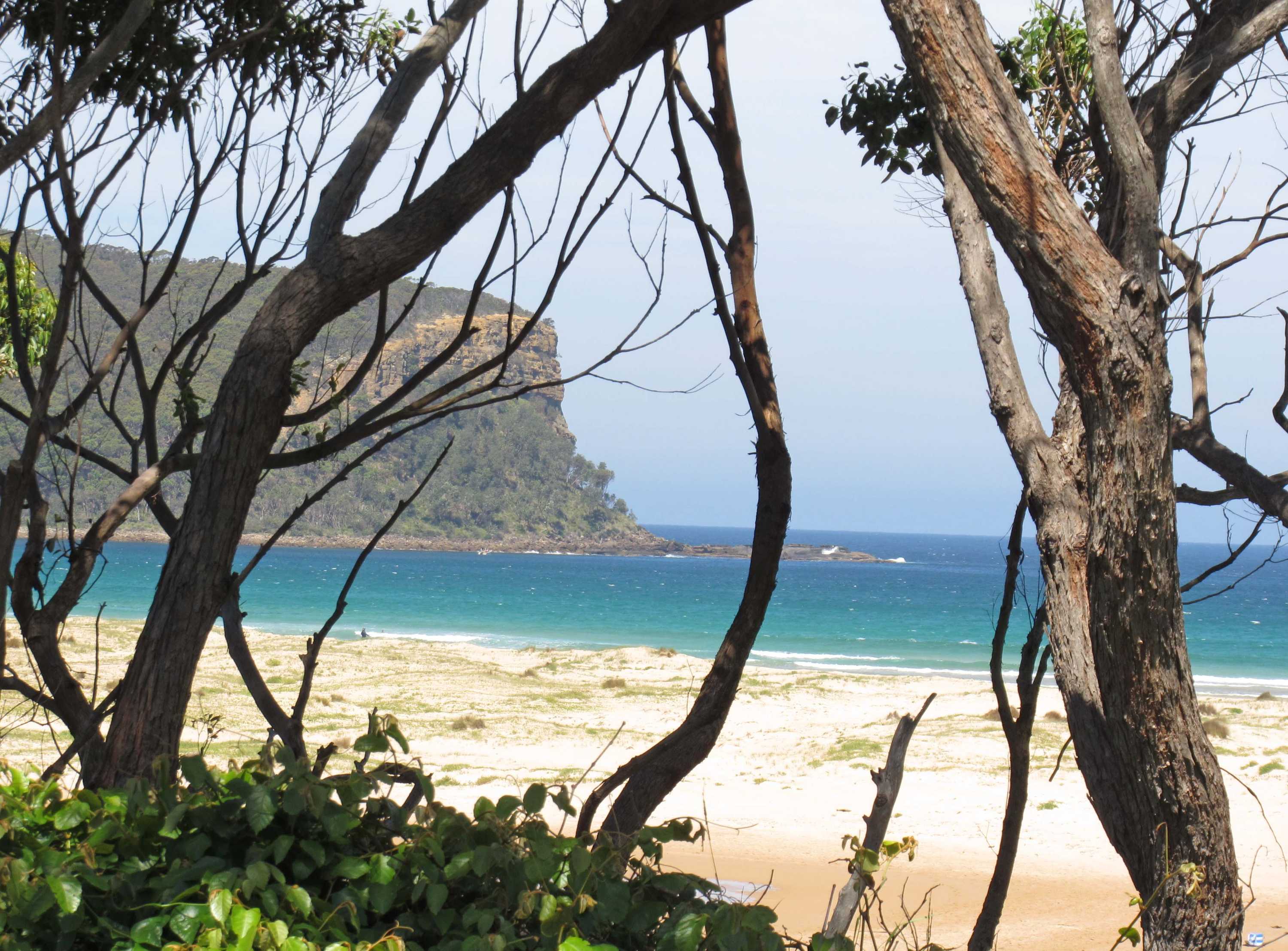 Images of a steep headland with trees and shrubs in the foreground