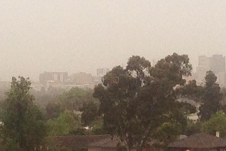 Adelaide disappears into dust