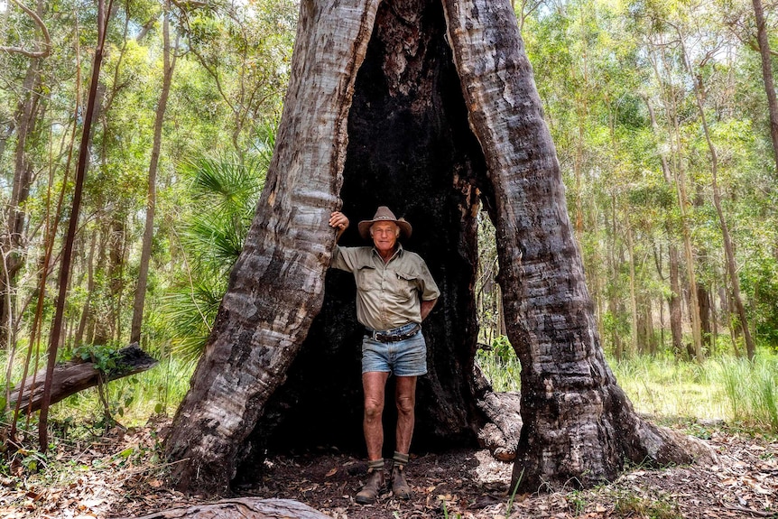 Lindsay "Butch" Titmarsh on his Tandora property.