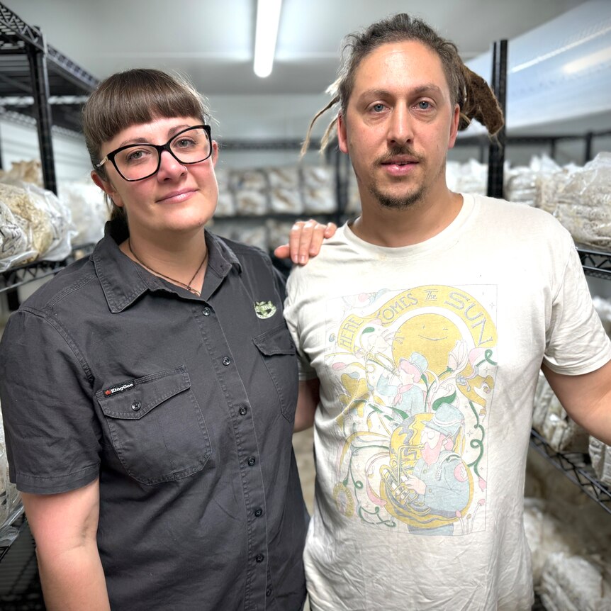 A woman and man stand somberly in a mushroom growing room.